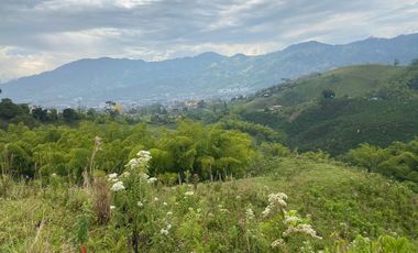 FINCA EN VENTA EN DOSQUEBRADAS RISARALDA
