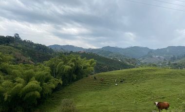 FINCA EN VENTA EN DOSQUEBRADAS RISARALDA