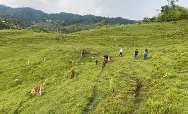 FINCA EN VENTA EN DOSQUEBRADAS RISARALDA