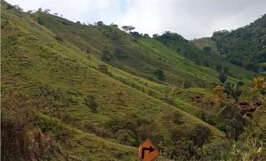 En venta 30 Hectáreas en La Armenia-Garcia Moreno