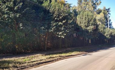 Alquiler de Fracción de 3700m2 (37.00m x 100m) - Ideal corralón de materiales, distribuidora o Implantación  de fabrica.