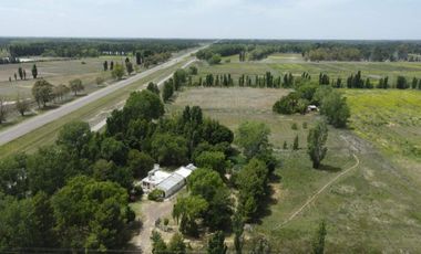 Venta Chacra A 12 Km De Viedma Sobre La Ruta