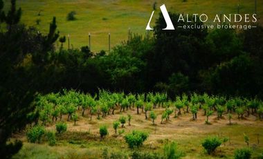 Parcela en Venta en 
