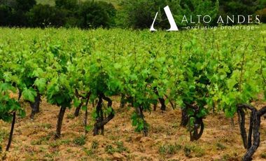 Parcela en Venta en 