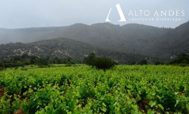 Parcela en Venta en 
