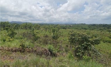 Se Vende Terreno en San Carlos
