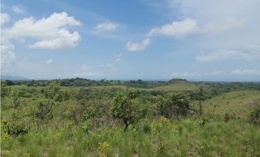 Se Vende Terreno en San Carlos