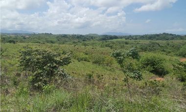 Se Vende Terreno en San Carlos