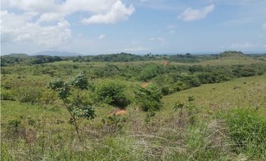 Se Vende Terreno en San Carlos