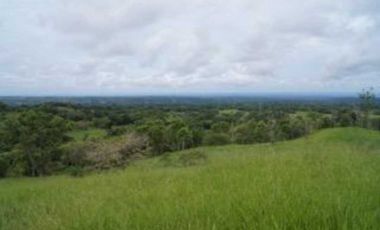 VENDO FINCA DE 241 HECTAREAS TITULADAS