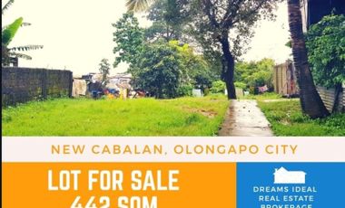 New Cabalan, Olongapo City Lot for Sale