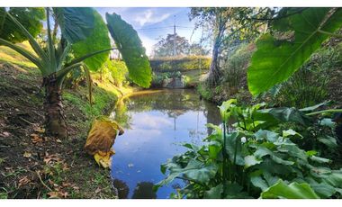 Venta Lote en la Ceja vía San Antonio Unidad Cerrada