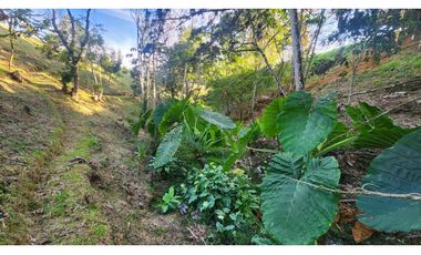 Venta Lote en la Ceja vía San Antonio Unidad Cerrada