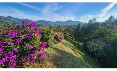 Venta Lote en la Ceja vía San Antonio Unidad Cerrada