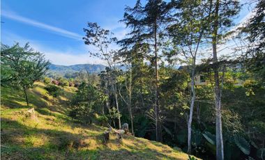 Venta Lote en la Ceja vía San Antonio Unidad Cerrada