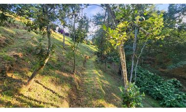 Venta Lote en la Ceja vía San Antonio Unidad Cerrada