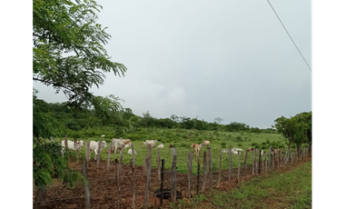 Se Vende Finca de 47.6 Hectáreas  en Natá