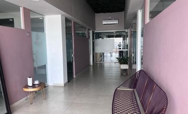 edificio en arriendo/venta en paraíso. Cod A91936