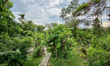 A nice plot of land for sale in San Khampeang