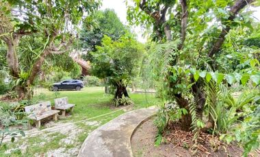 A nice plot of land for sale in San Khampeang