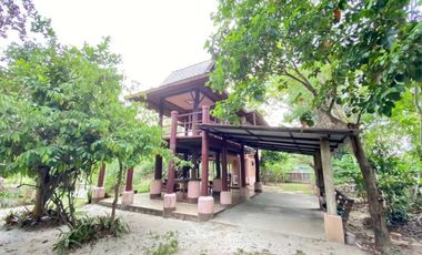 A nice plot of land for sale in San Khampeang