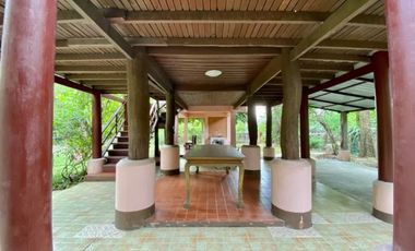 A nice plot of land for sale in San Khampeang