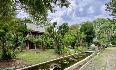 A nice plot of land for sale in San Khampeang