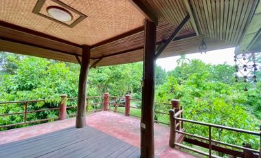 A nice plot of land for sale in San Khampeang