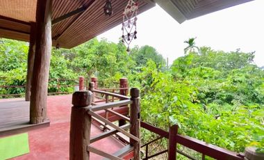 A nice plot of land for sale in San Khampeang