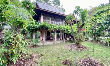 A nice plot of land for sale in San Khampeang