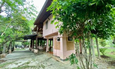 A nice plot of land for sale in San Khampeang