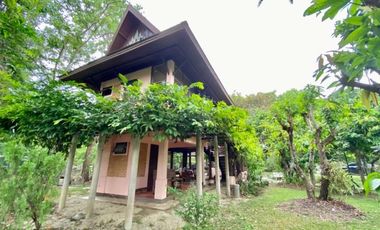 A nice plot of land for sale in San Khampeang