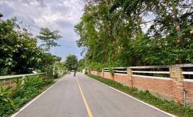 A nice plot of land for sale in San Khampeang