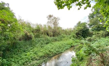 A nice plot of land for sale in San Khampeang