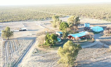Se Vende 7000 ha de Campo en Mendoza, Con 200 ha en riego por pivot