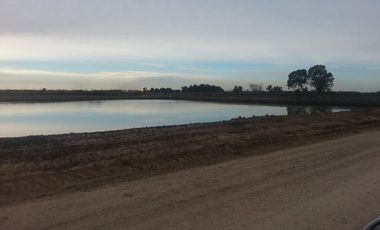 CAMPOS DE VICTORIA CANNING! ULTIMOS LOTES.