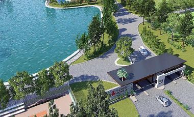 CAMPOS DE VICTORIA CANNING! ULTIMOS LOTES.