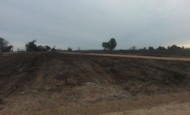 CAMPOS DE VICTORIA CANNING! ULTIMOS LOTES.