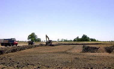 CAMPOS DE VICTORIA CANNING! ULTIMOS LOTES.