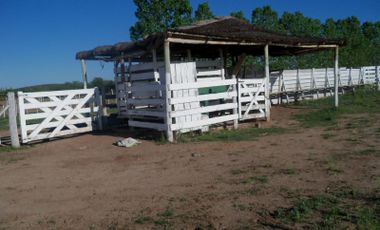 Campo mixto venta 1500ha, Villa Dolores. Provincia de Cordoba