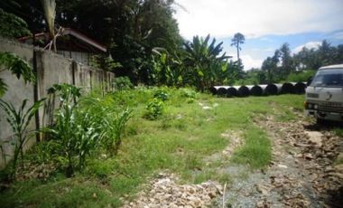 21,237 sqm Lot for Sale in Linao, Talisay City