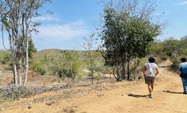 Lotes Económicos, En Playa Cuatunalco