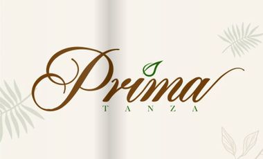 Prima Tanza by Lumina Homes - 1 Bedroom Condominium Unit