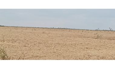 VENTA-CAMPO GANADERO 200has-SANTIAGO DEL ESTERO