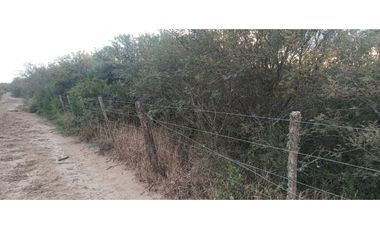 VENTA-CAMPO GANADERO 200has-SANTIAGO DEL ESTERO