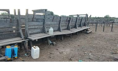 VENTA-CAMPO GANADERO 200has-SANTIAGO DEL ESTERO