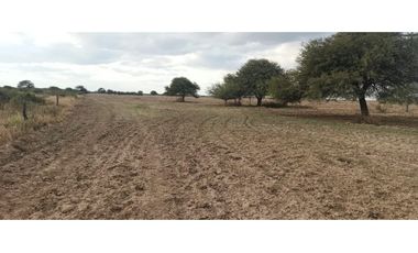 VENTA-CAMPO GANADERO 200has-SANTIAGO DEL ESTERO