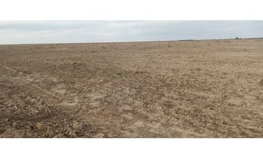 VENTA-CAMPO GANADERO 200has-SANTIAGO DEL ESTERO