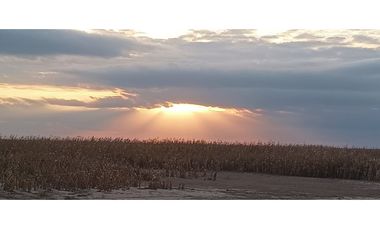 VENTA-CAMPO GANADERO 200has-SANTIAGO DEL ESTERO