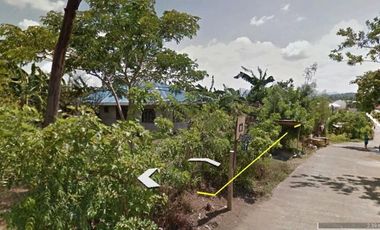 ALAMINOS SAN JUAN 3-HECTARE LOT